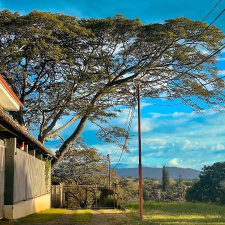 Zeus Guesthouse -Free Sjo Airport Shuttle La Garita (Alajuela) Exterior foto